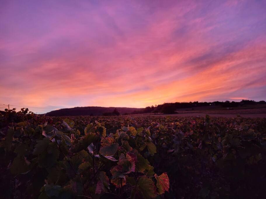Le Clos Du Botaniste Pouilly-le-Monial Exterior photo
