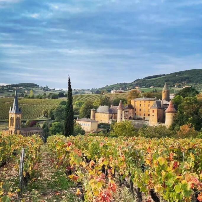 Le Clos Du Botaniste Pouilly-le-Monial Exterior photo